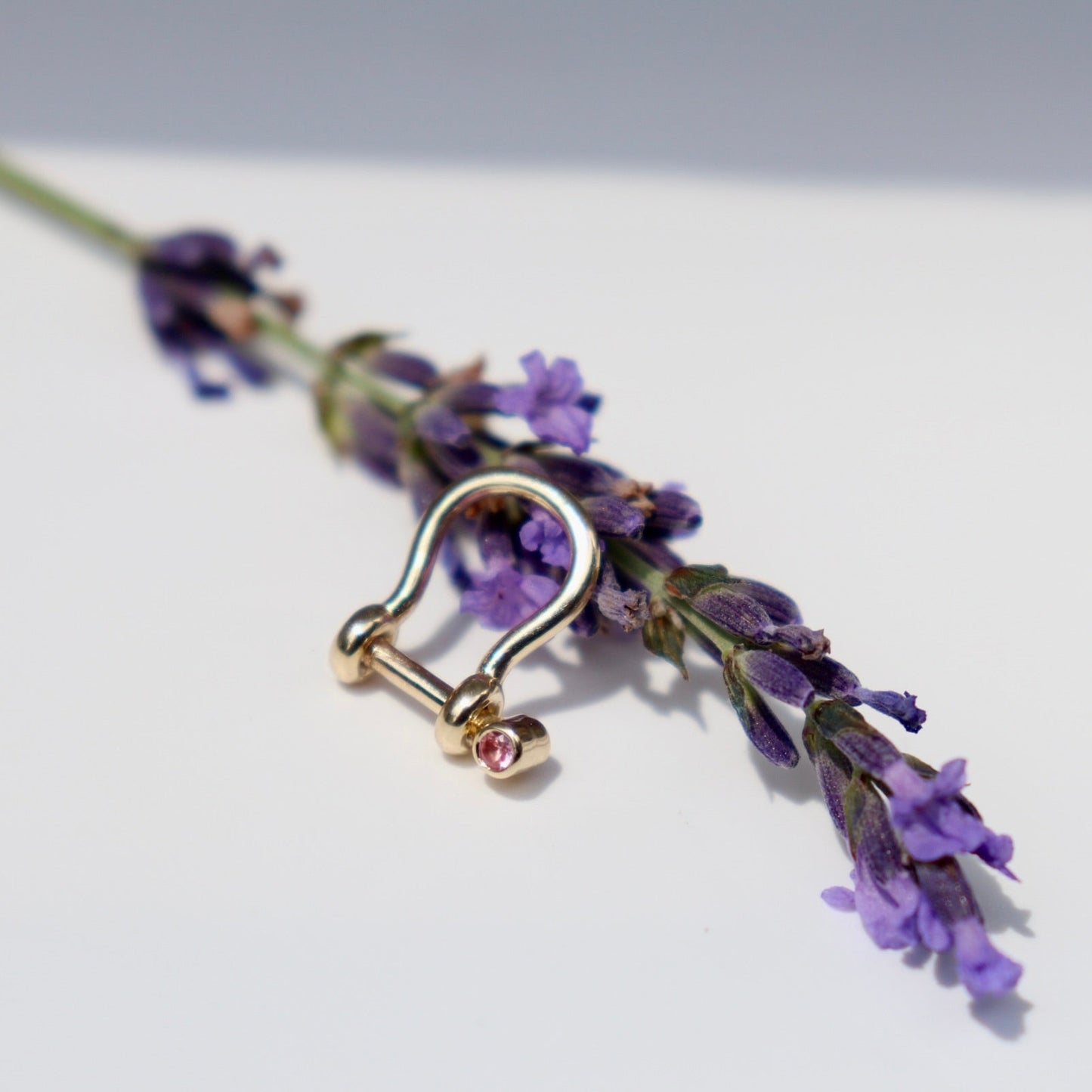 A gold-toned metal shackle clasp with a small pink gemstone, displayed on a sprig of purple lavender against a clean white background.